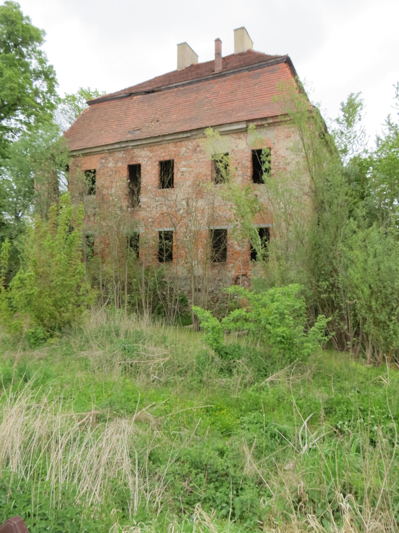 Pałac, Trzebiel