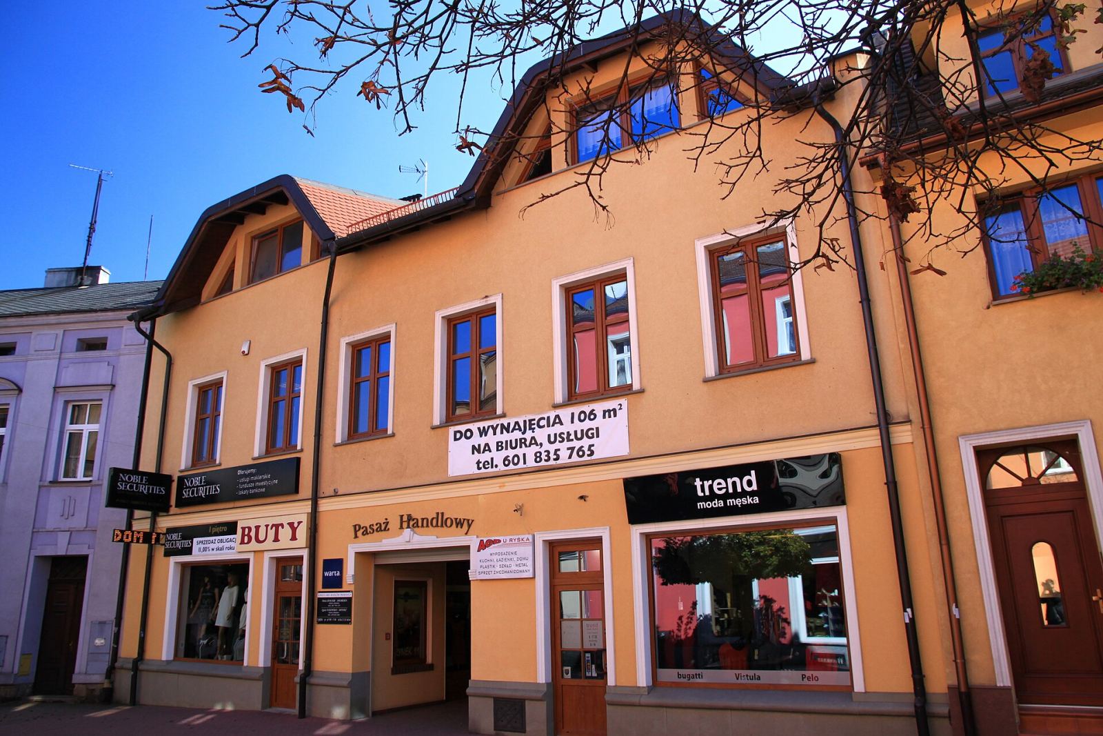 Dom, Pszczyna