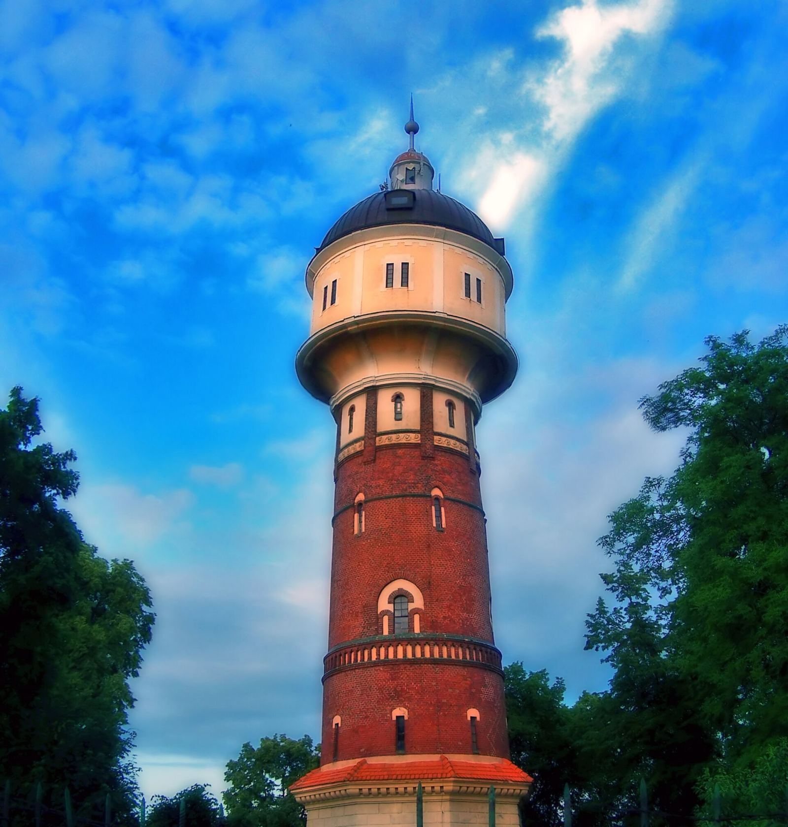Drzewostan, Trzemeszno