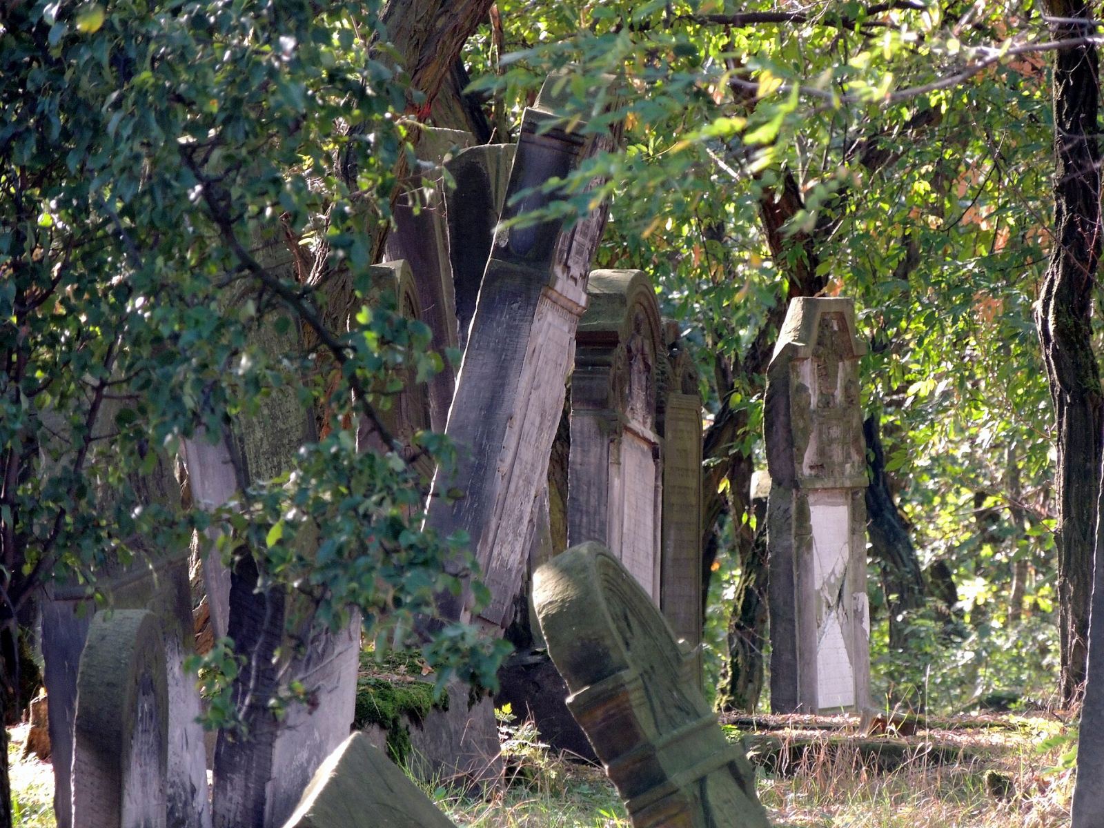 Cmentarz żydowski, Zduńska Wola