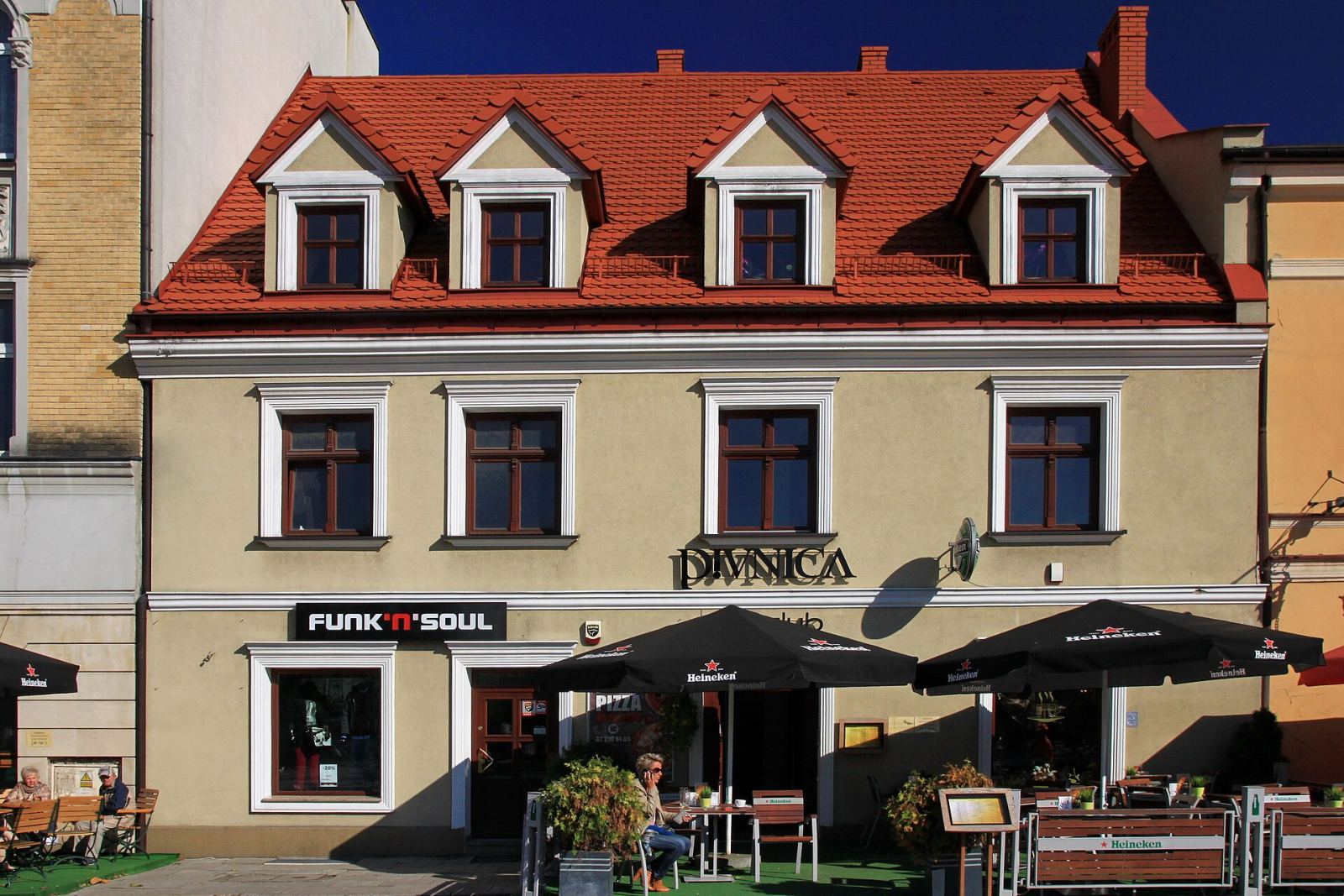 Dom, Pszczyna