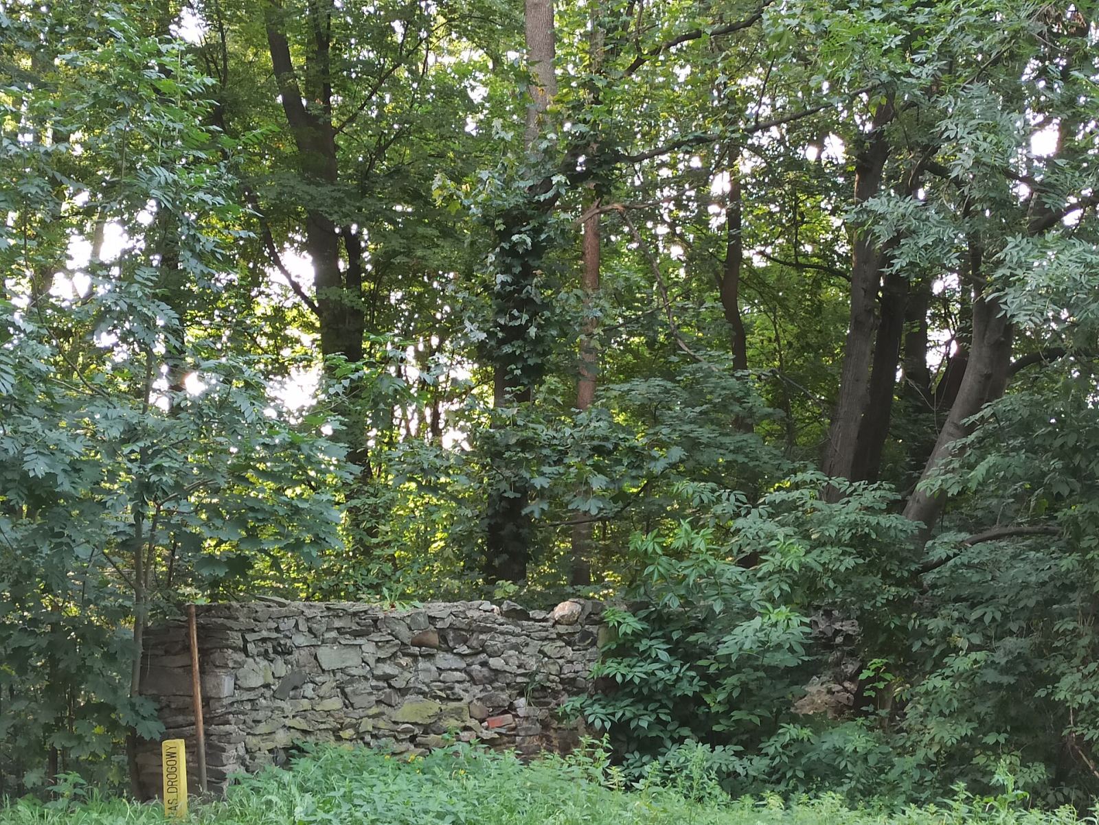 Park, Łąka Prudnicka