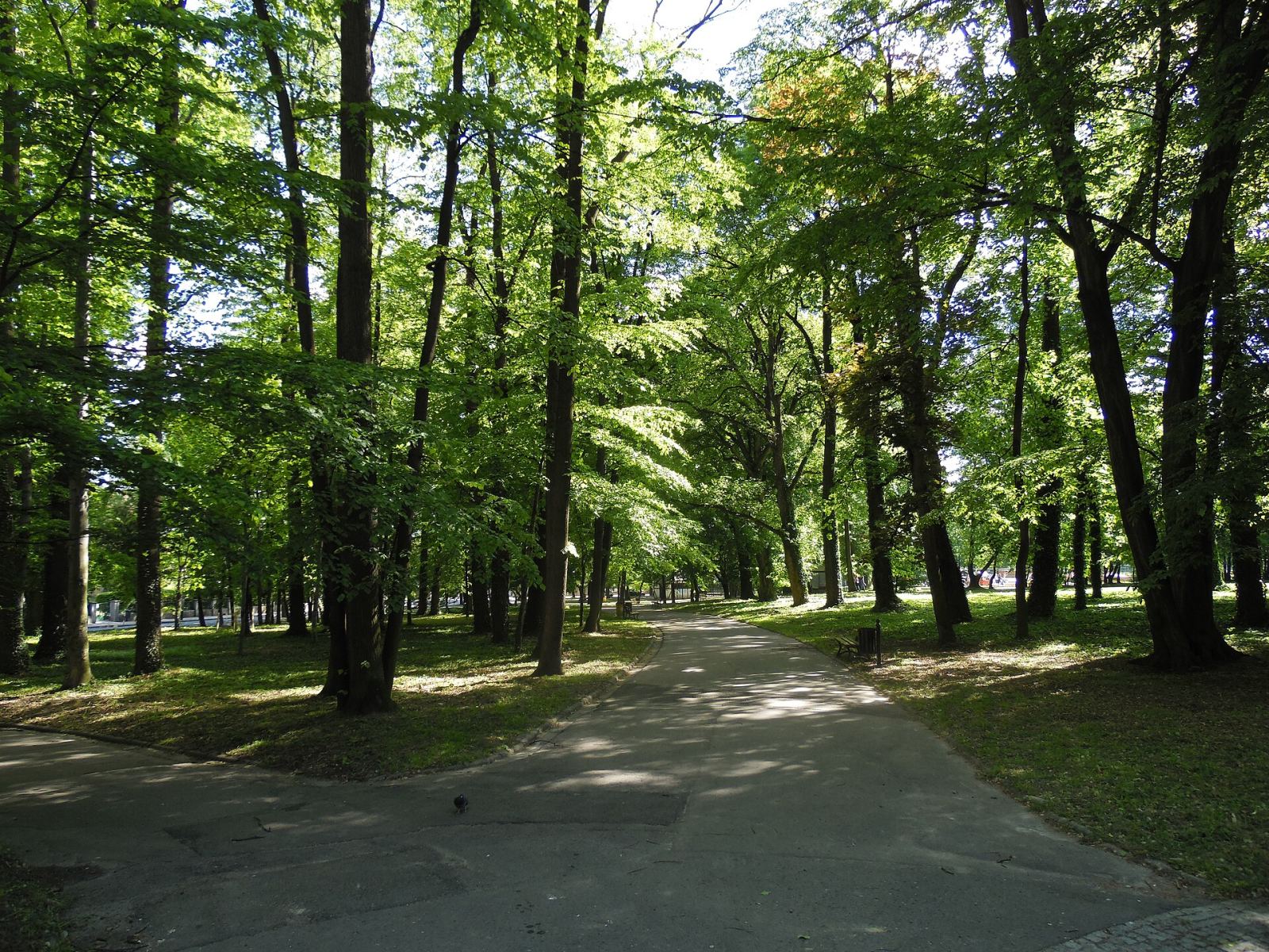 Park miejski, Prudnik