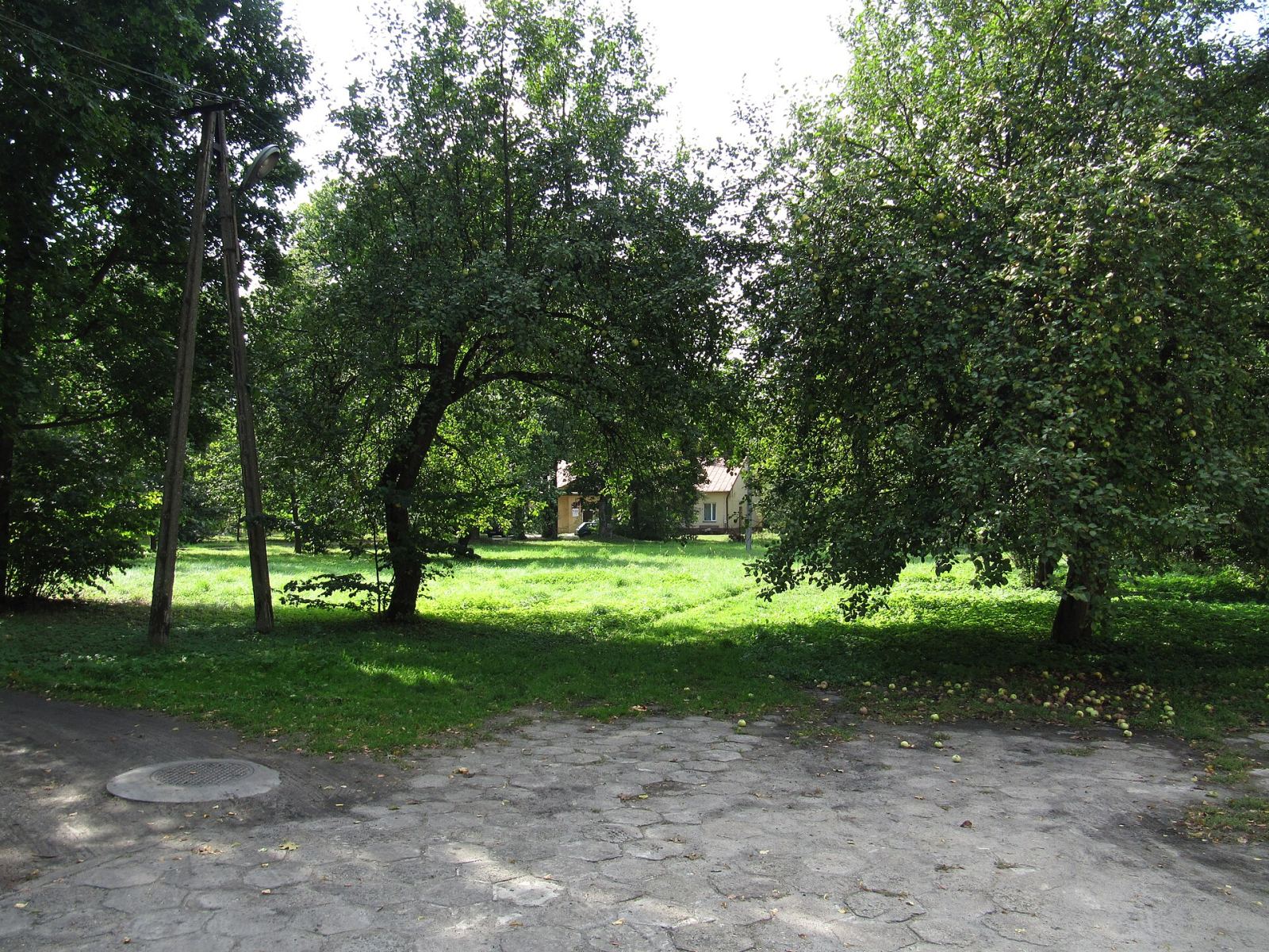 Park podworski, Pławno