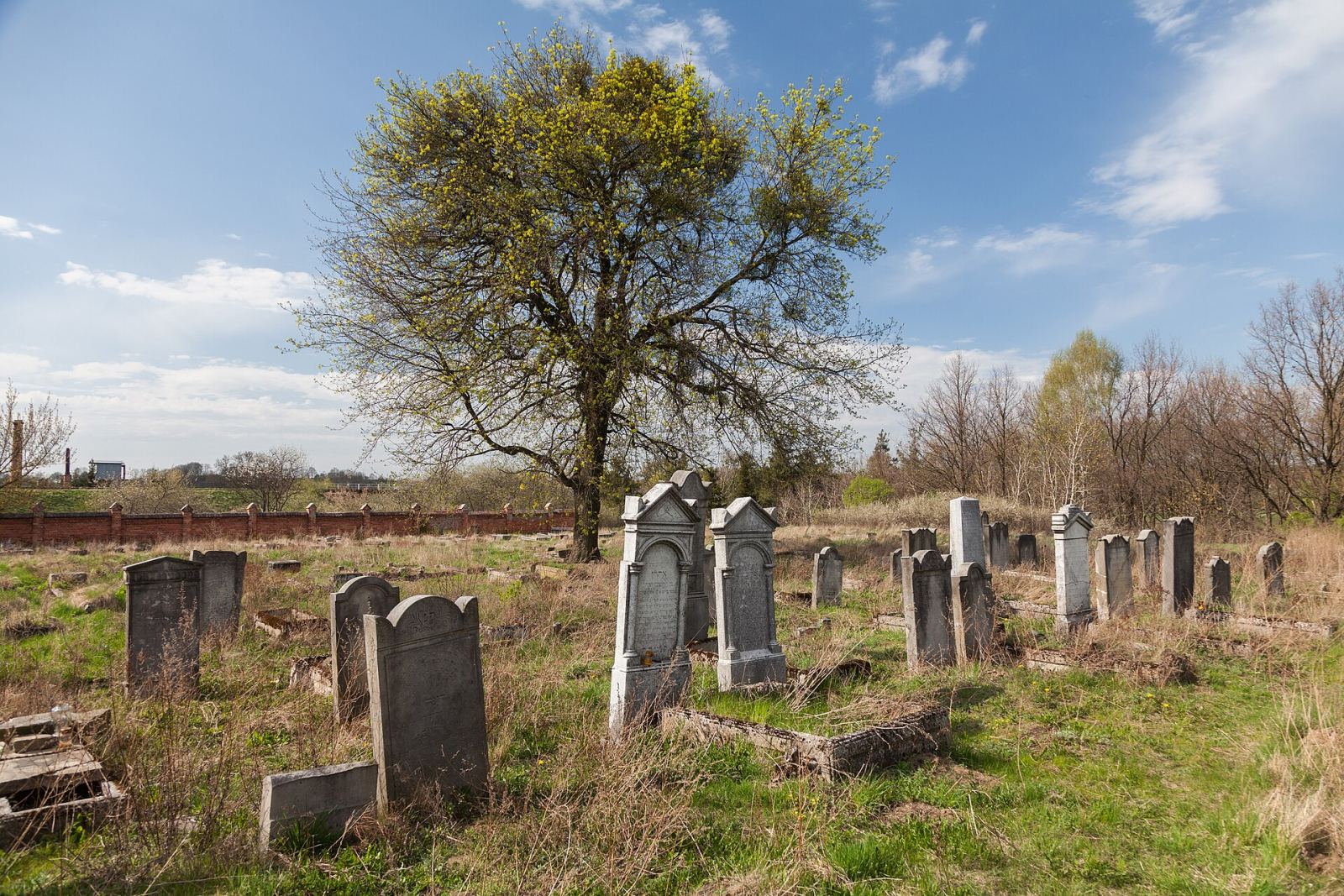 Cmentarz żydowski, Koronowo