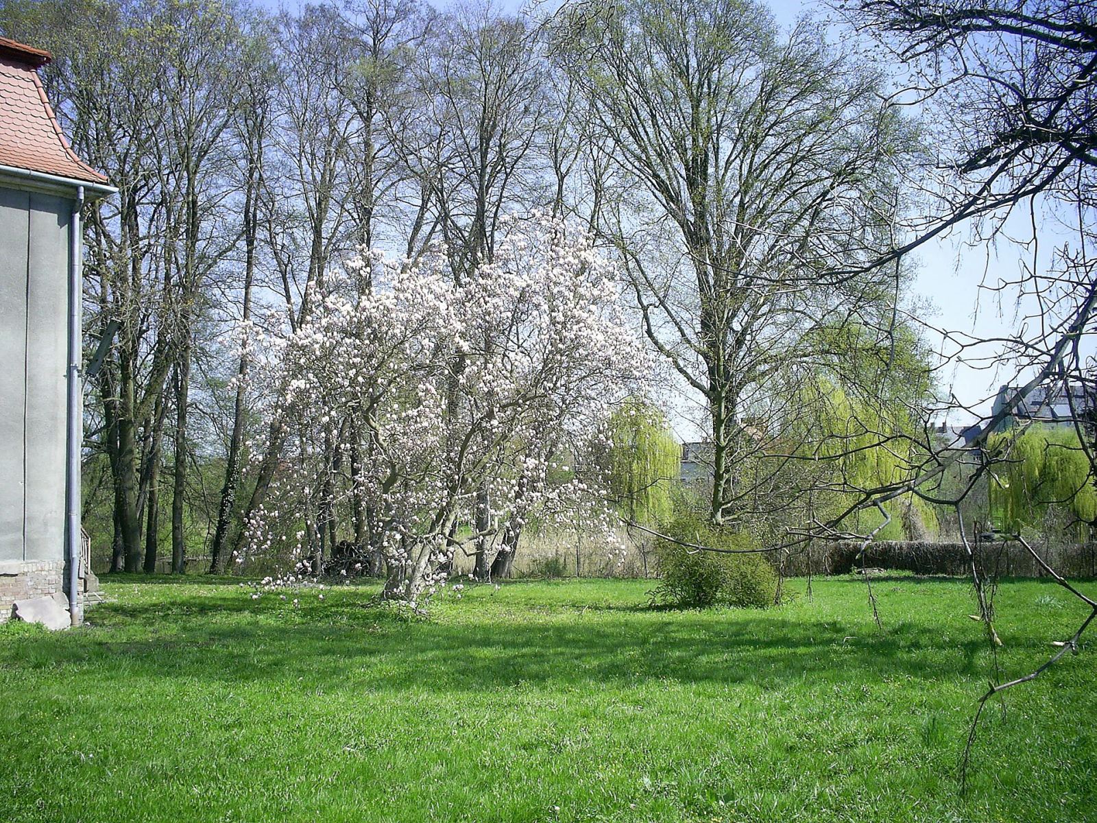 Park, Zbąszyń