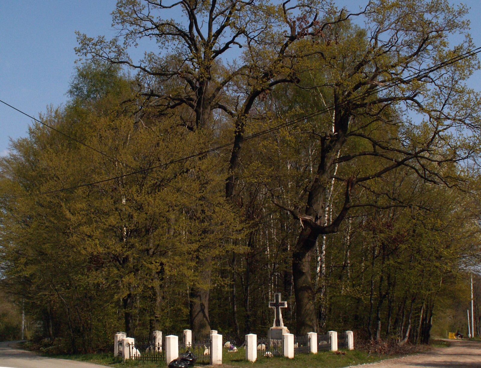 Cmentarz wojenny nr 376 z I wojny światowej, Suchoraba