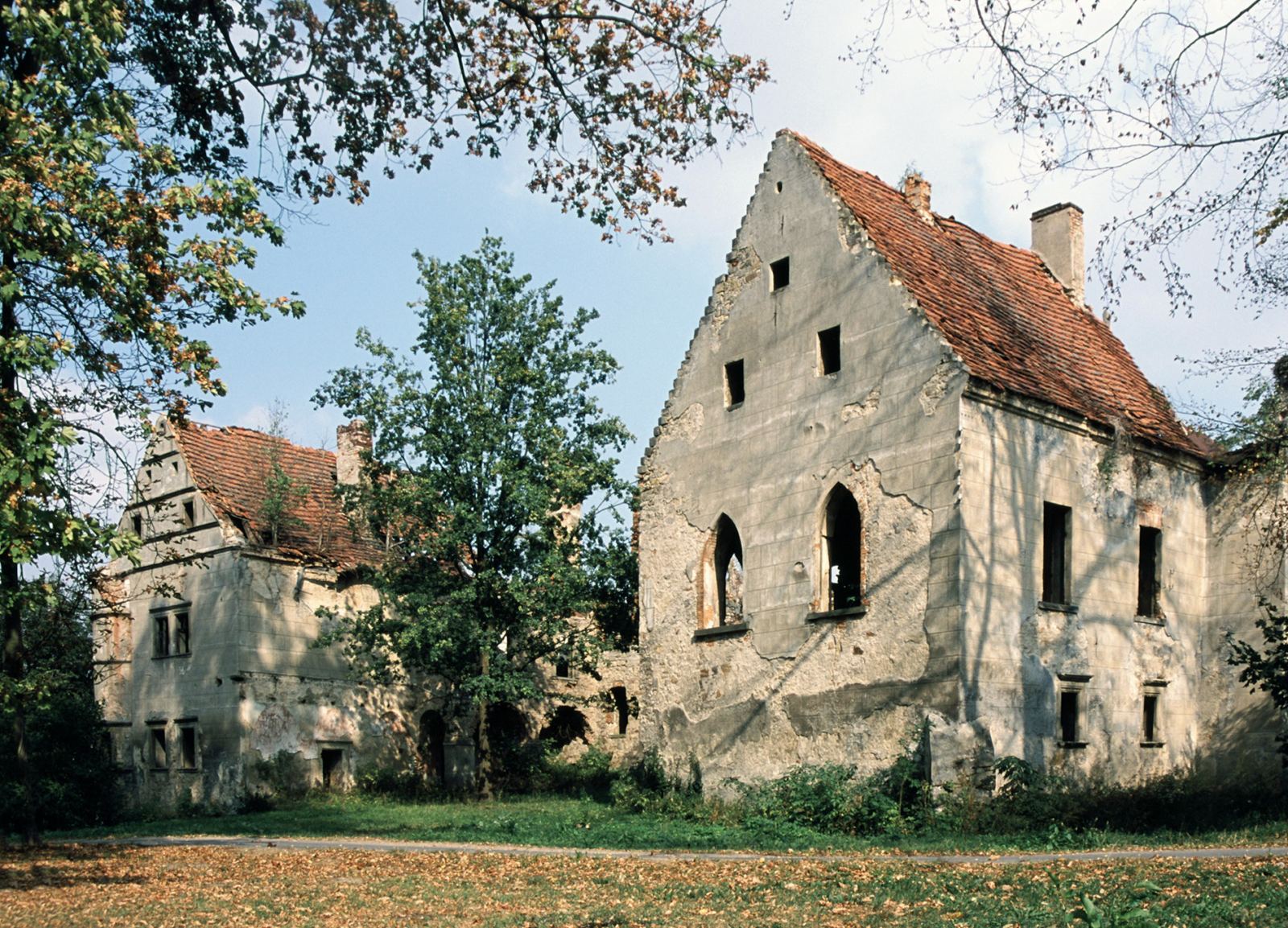 Dwór, Warta Bolesławiecka