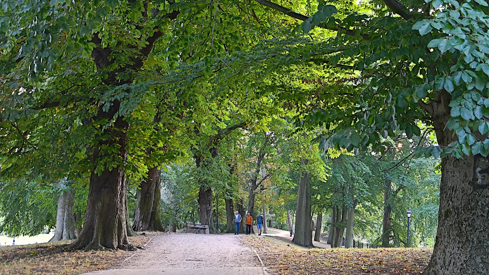 Park miejski im. gen. Jana Henryka Dąbrowskiego, Kołobrzeg