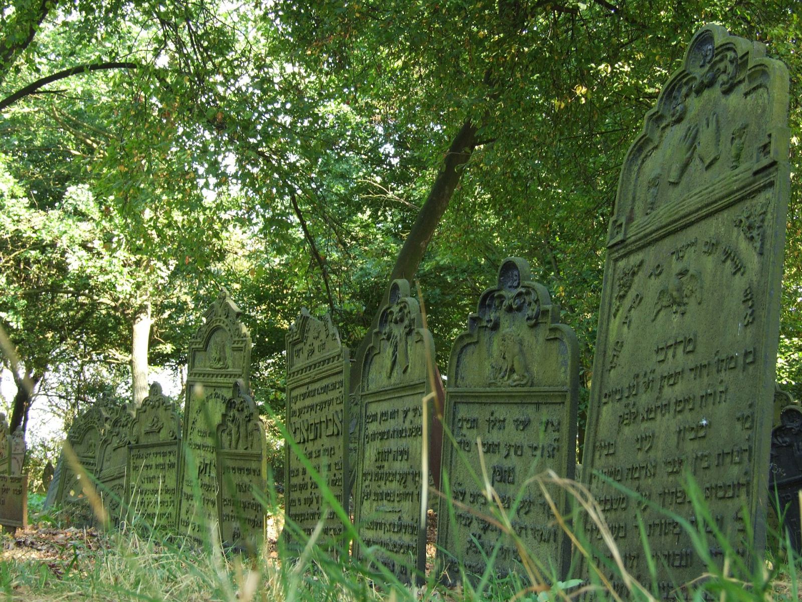 Cmentarz żydowski, Lutrowskie