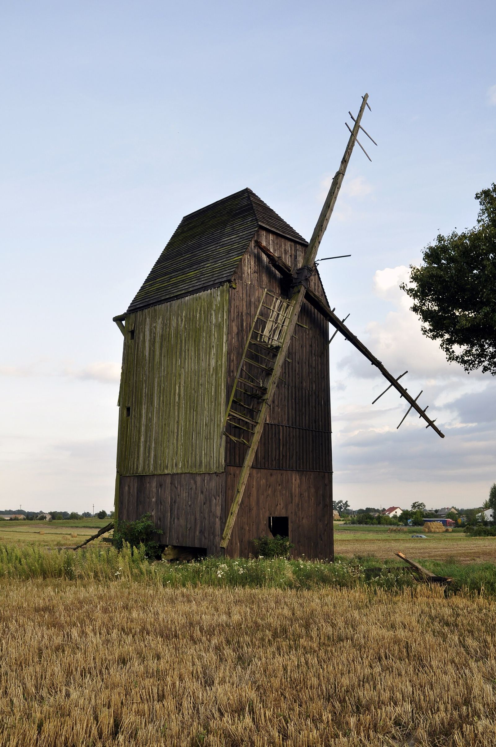 Wiatrak koźlak, Chrosno
