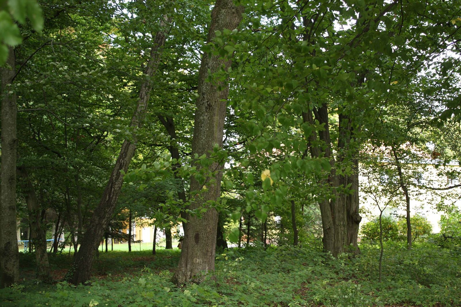 Park, Warnino