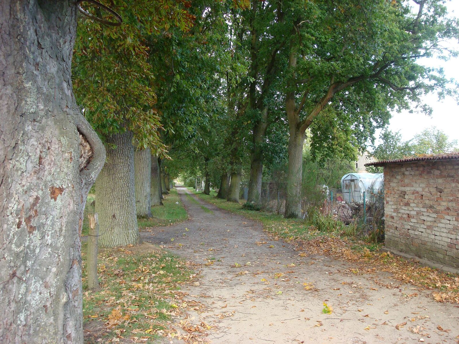 Park dworski, Borzysław
