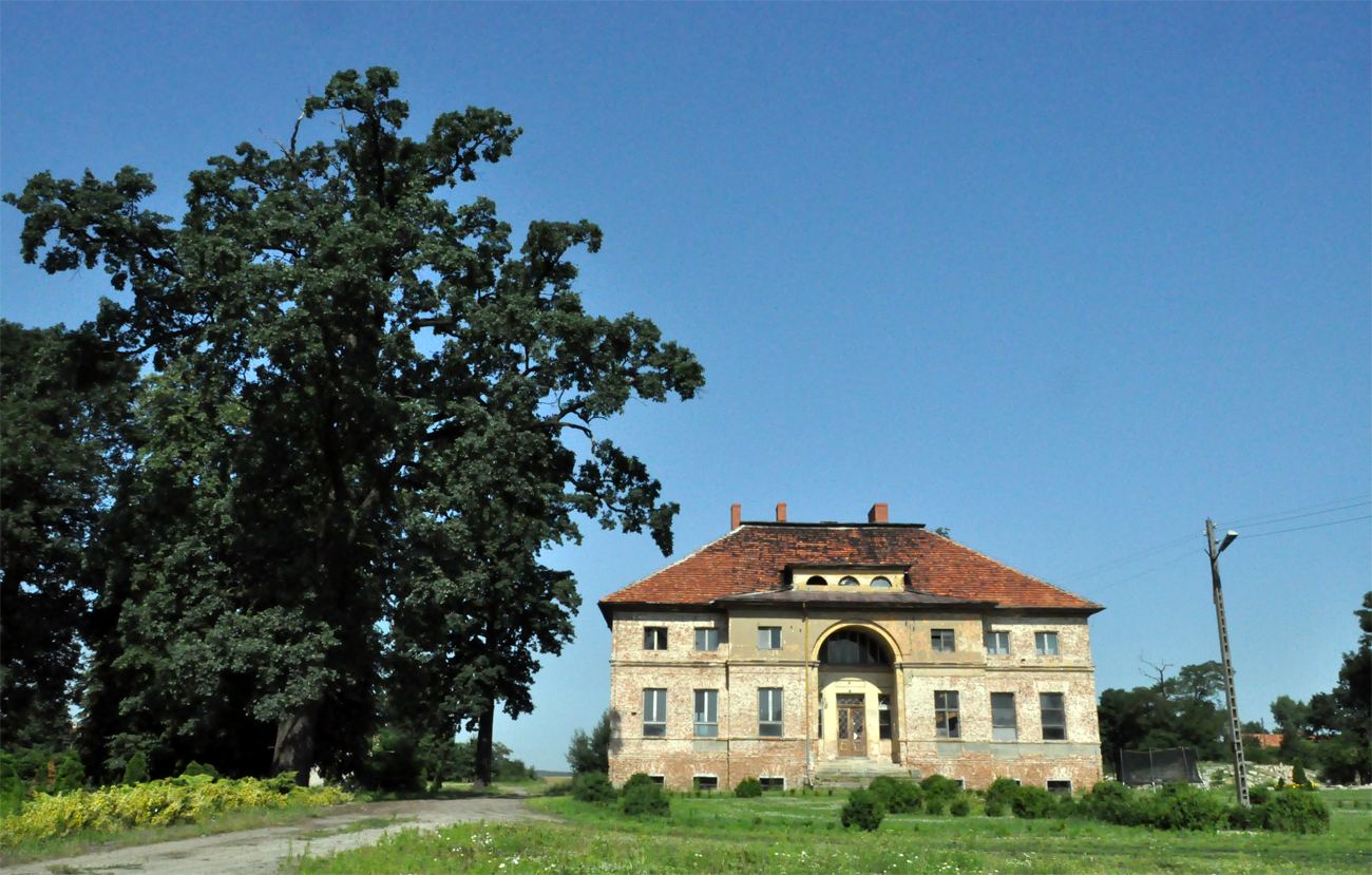 Pałac, Ciechów
