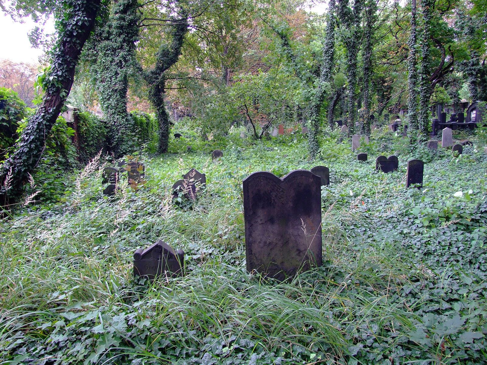 Cmentarz żydowski z drzewostanem, Zabrze