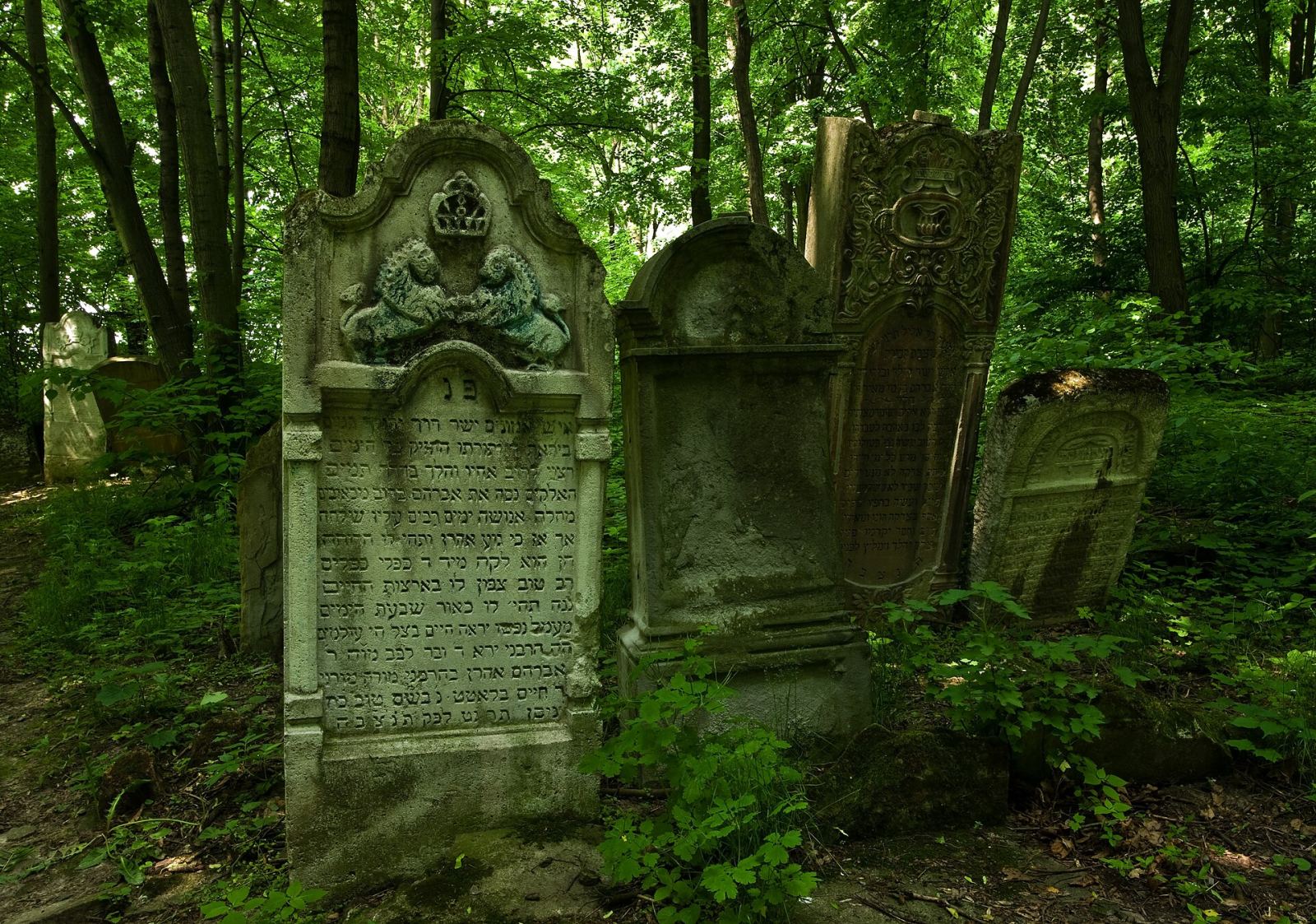 Cmentarz żydowski, tzw. Na Wygarkach, Jarosław
