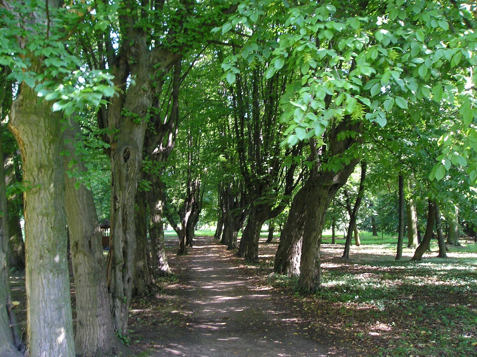 Park, Naroczyce