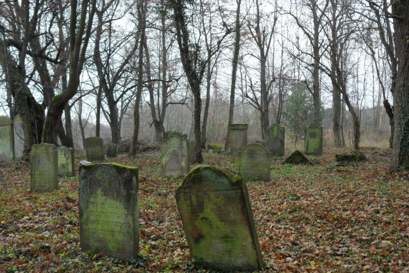 Cmentarz żydowski, Jastrowie
