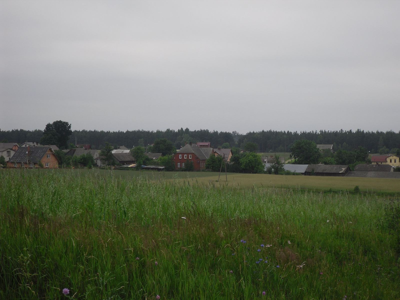 Układ ruralistyczny, Przytarnia