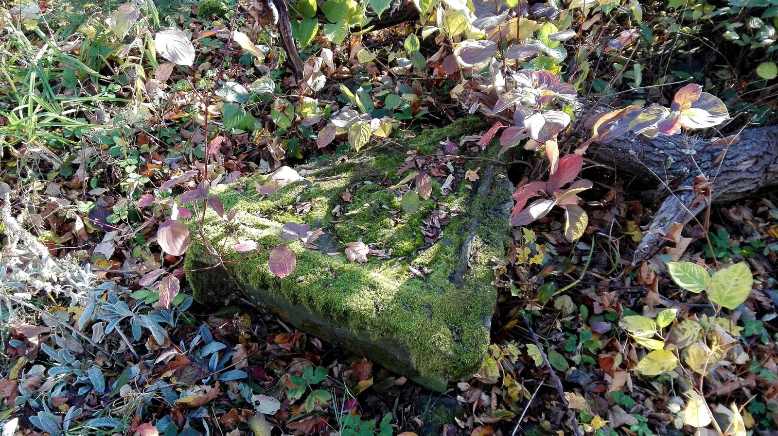 Ruina klasztoru, Prudnik