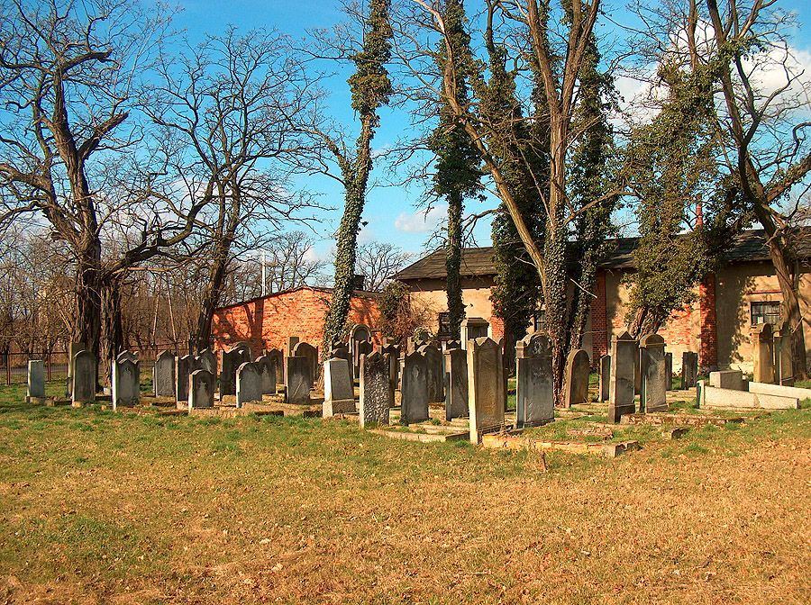 Cmentarz żydowski, Ścinawa