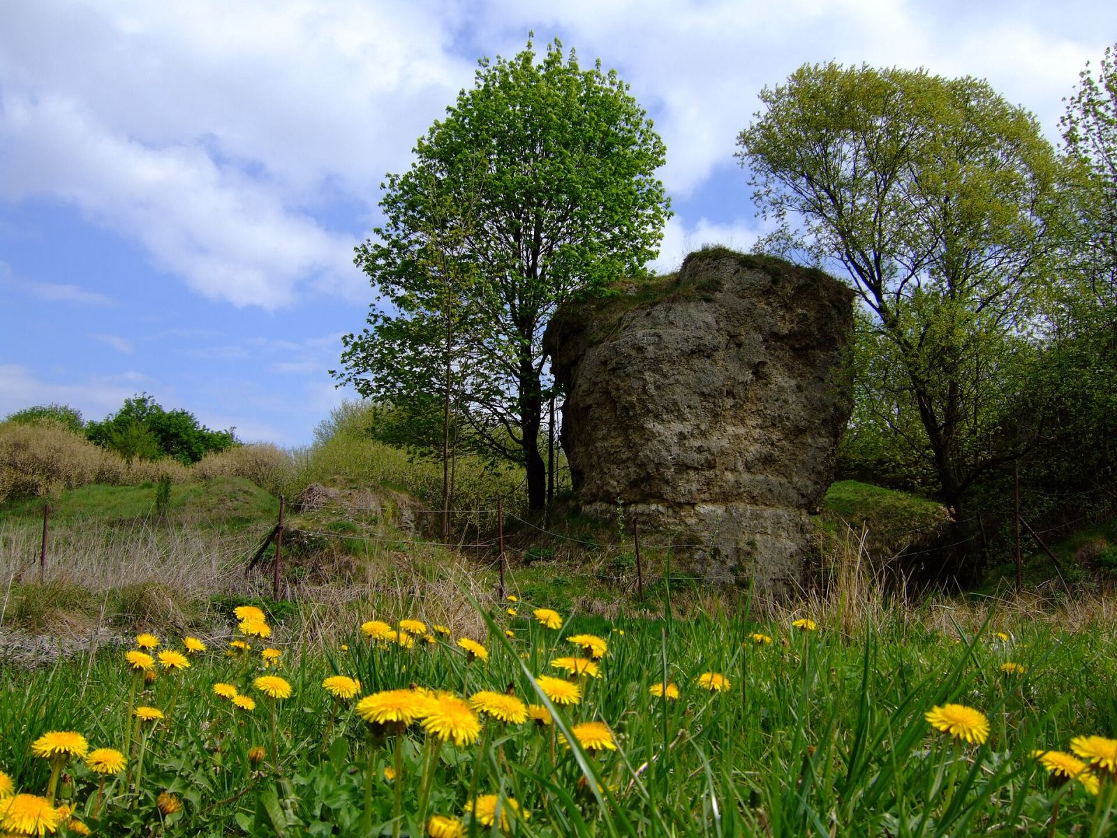 Rezerwat skalno-stepowy, Skorocice