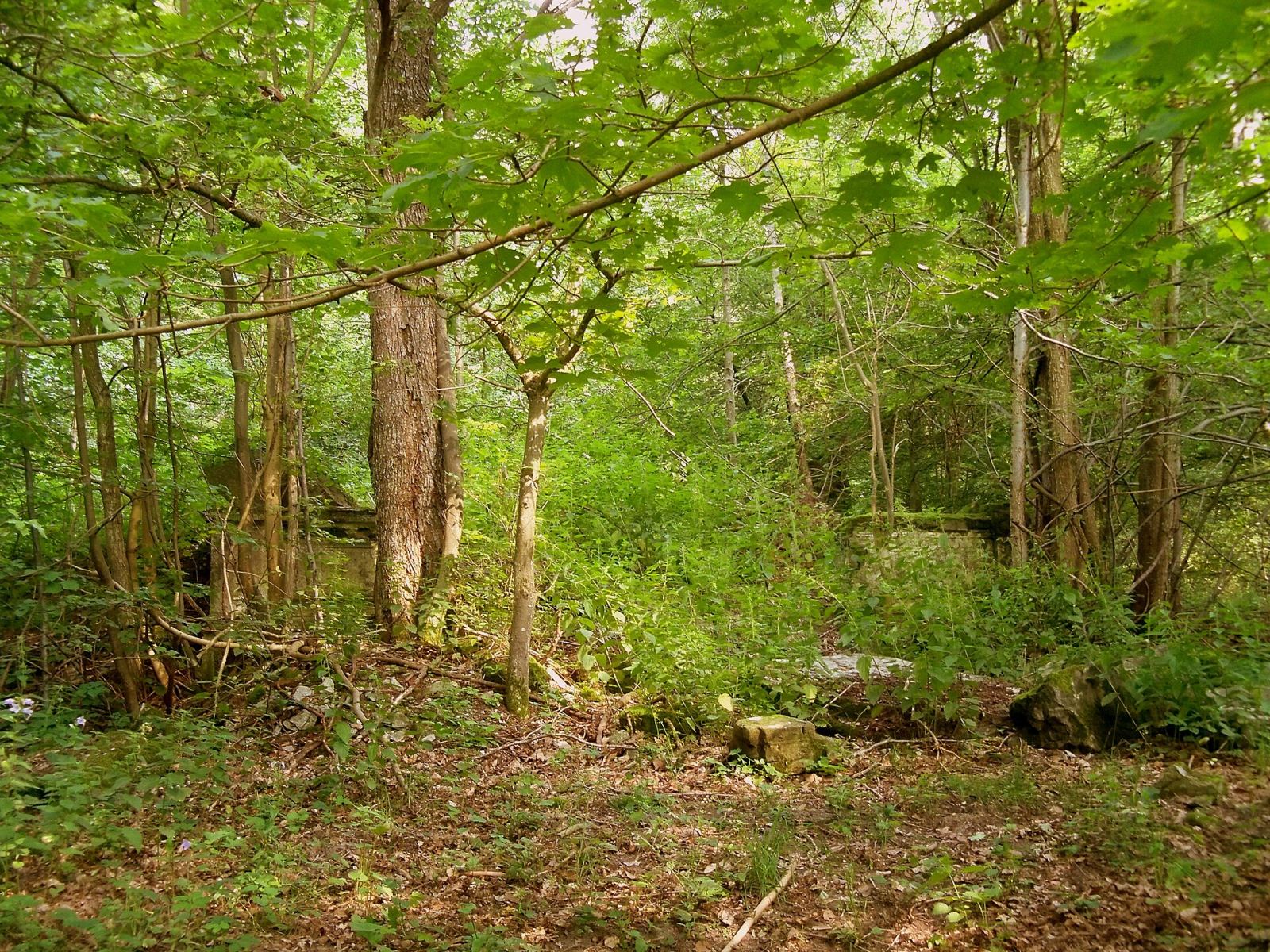 Park pałacowy, Rudno