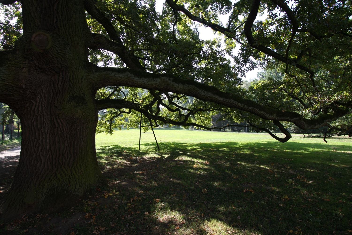 Park krajobrazowy, Wielichowo-Wieś