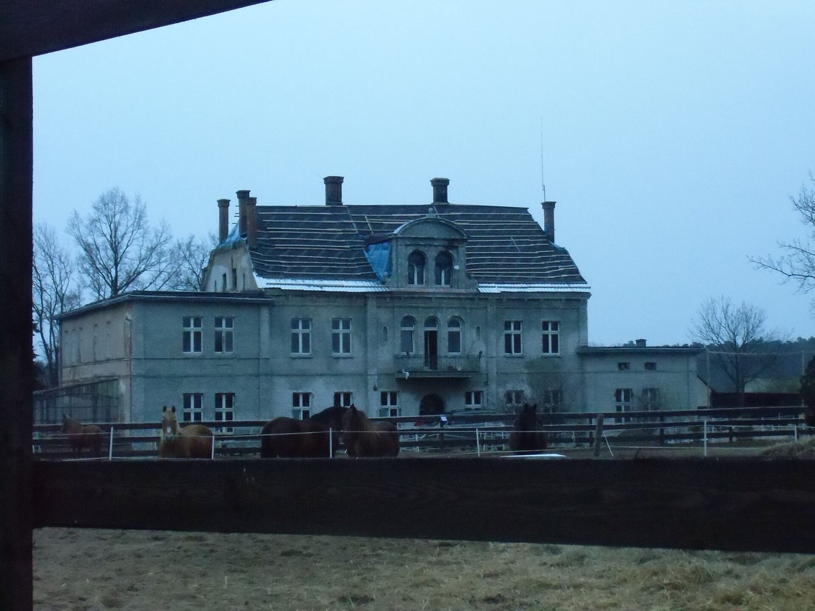 Pałac, Szczedrzykowice