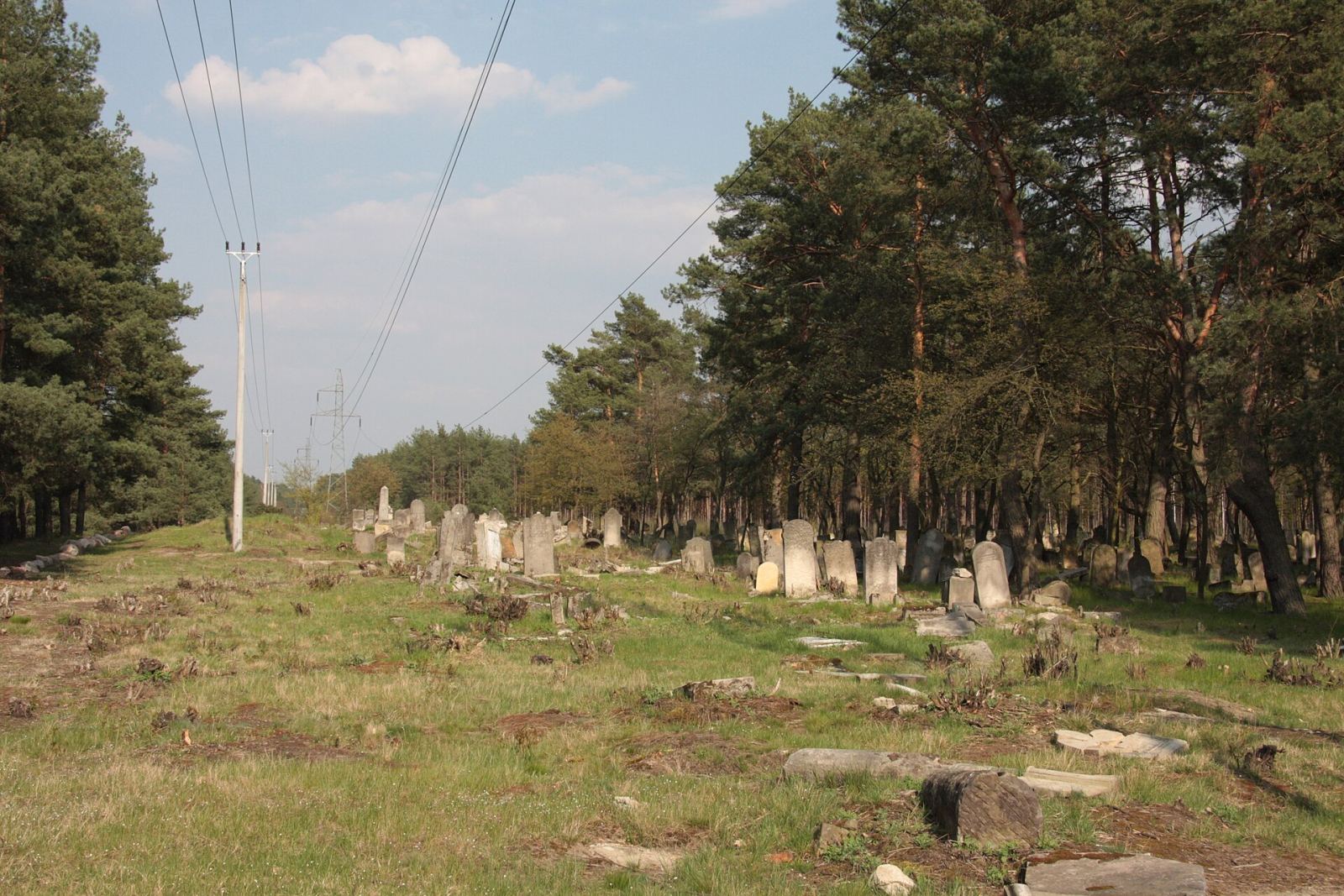 Cmentarz żydowski, Karczew
