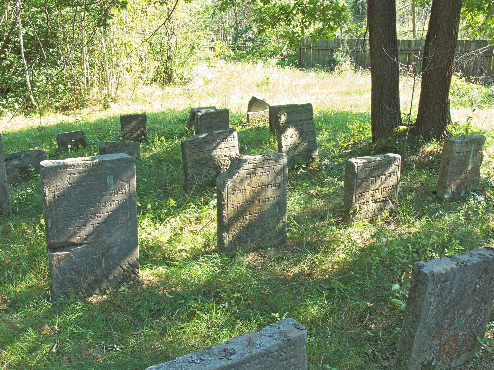 Cmentarz żydowski, Brańsk