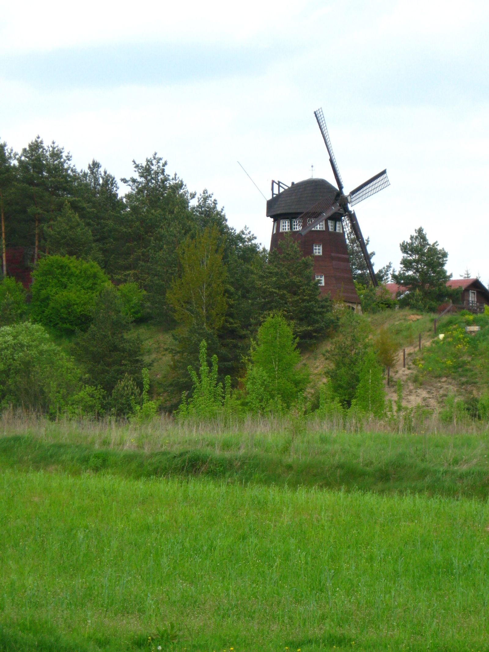 Wiatrak holender, Studzianki