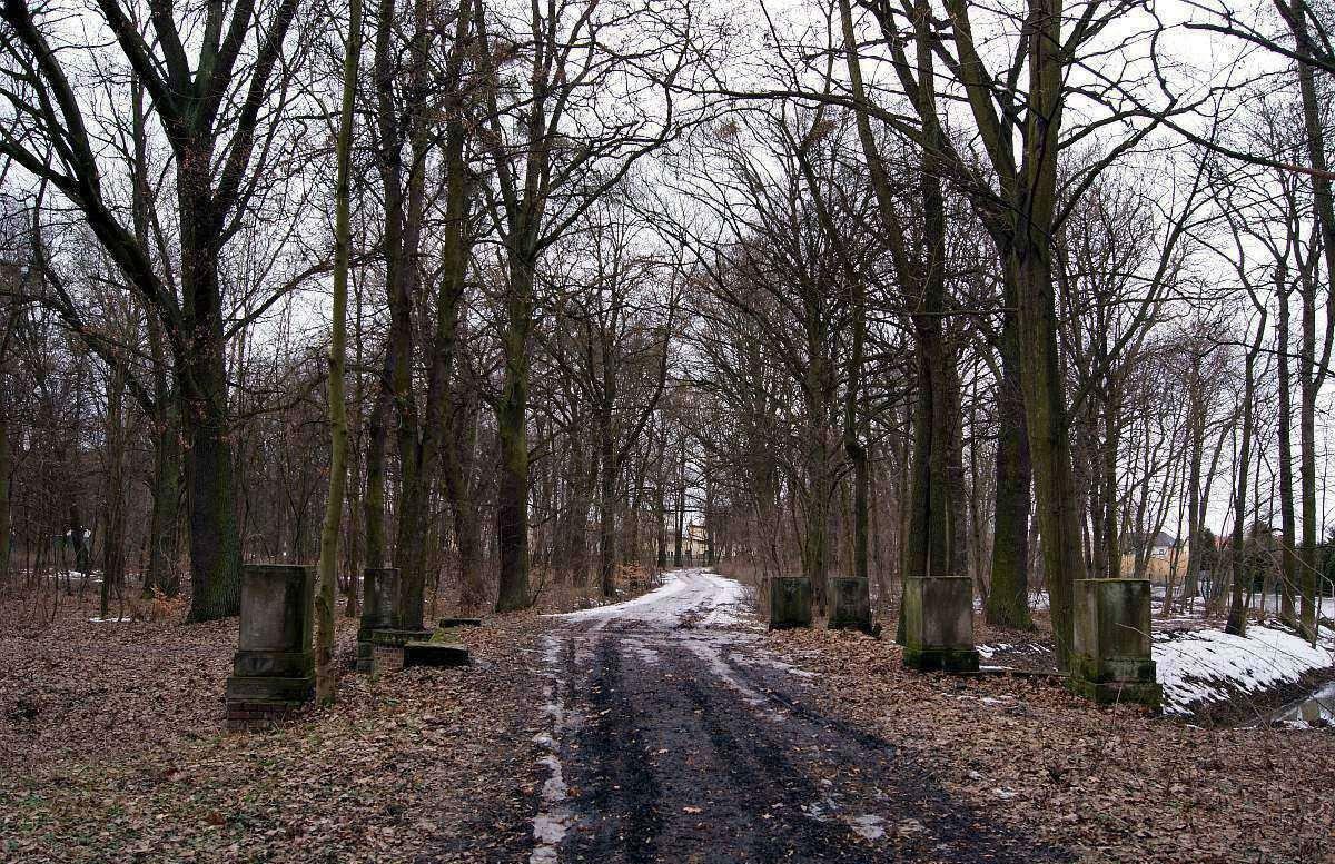 Park, Wrocław