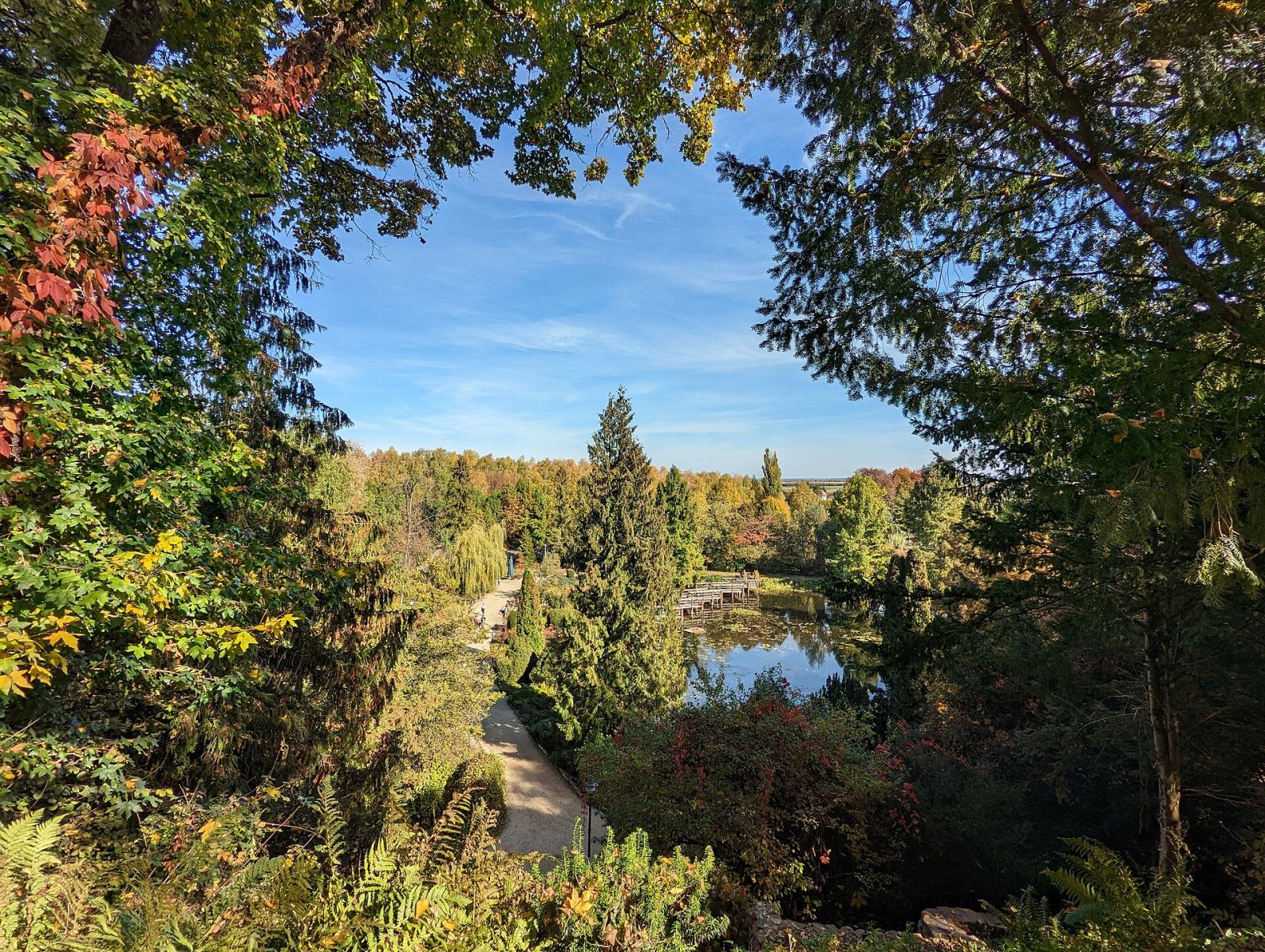 Park, Bolestraszyce