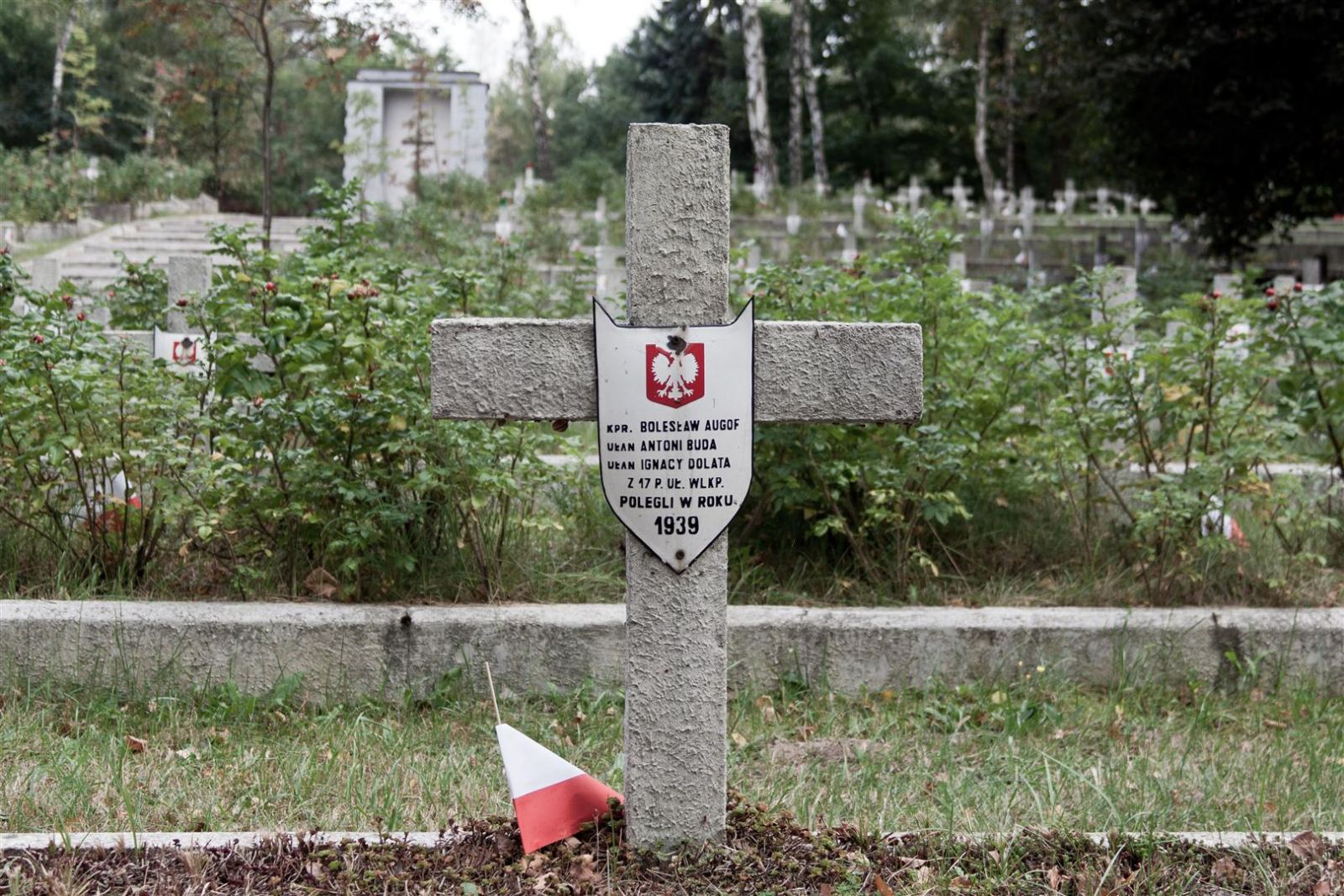 Cmentarz wojenny z II wojny światowej, Laski