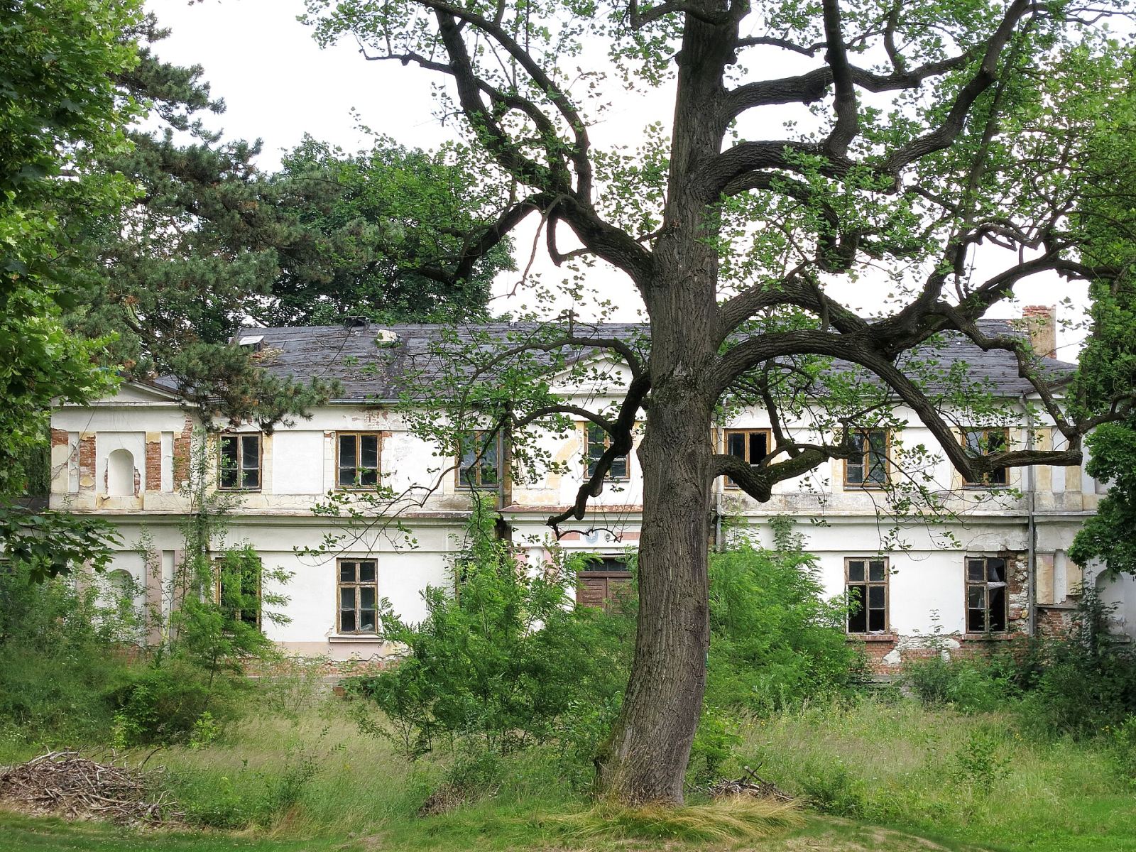 Park dworski, Biała Wielka