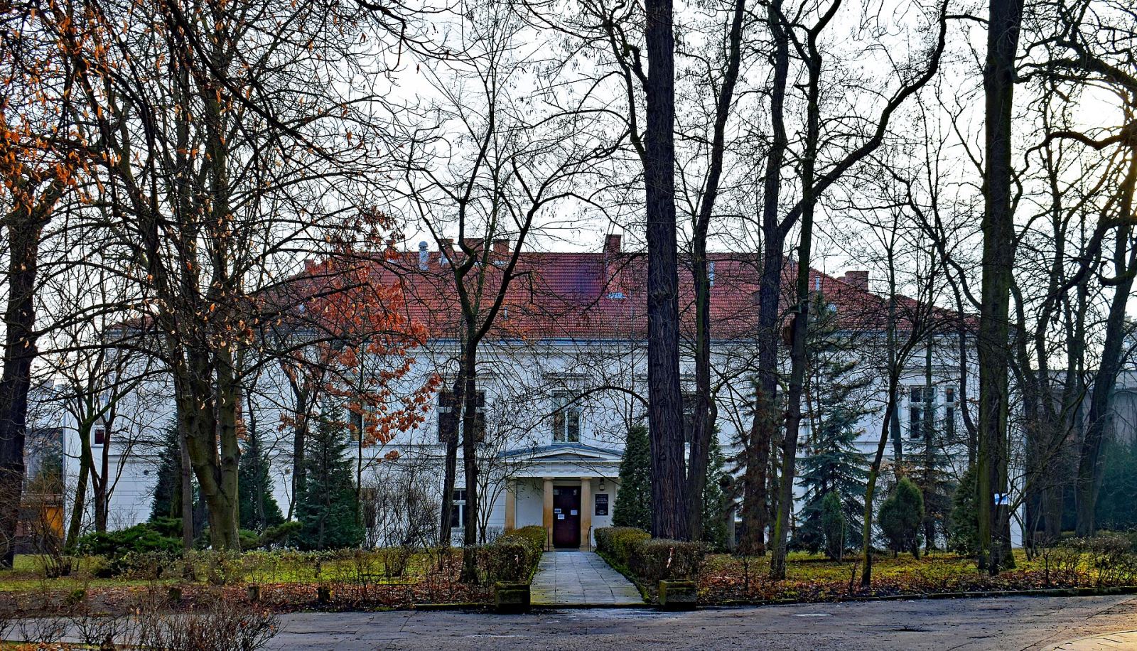 Klinika Brodowskiego, Kraków