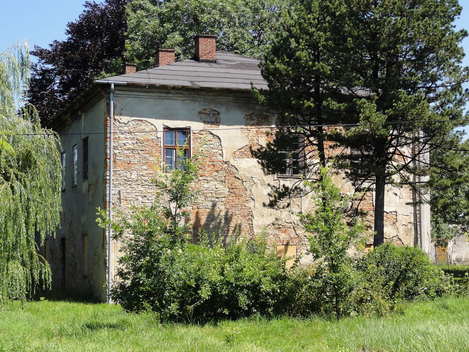 Dwór, Rudzica