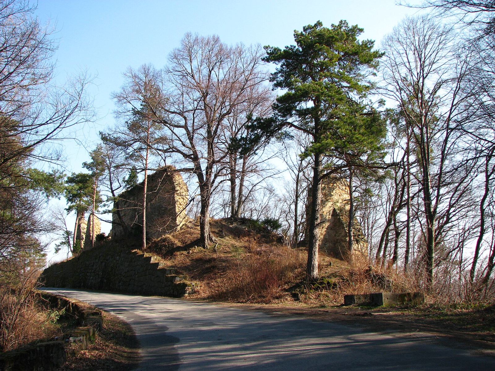Ruiny zamku, Rożnów