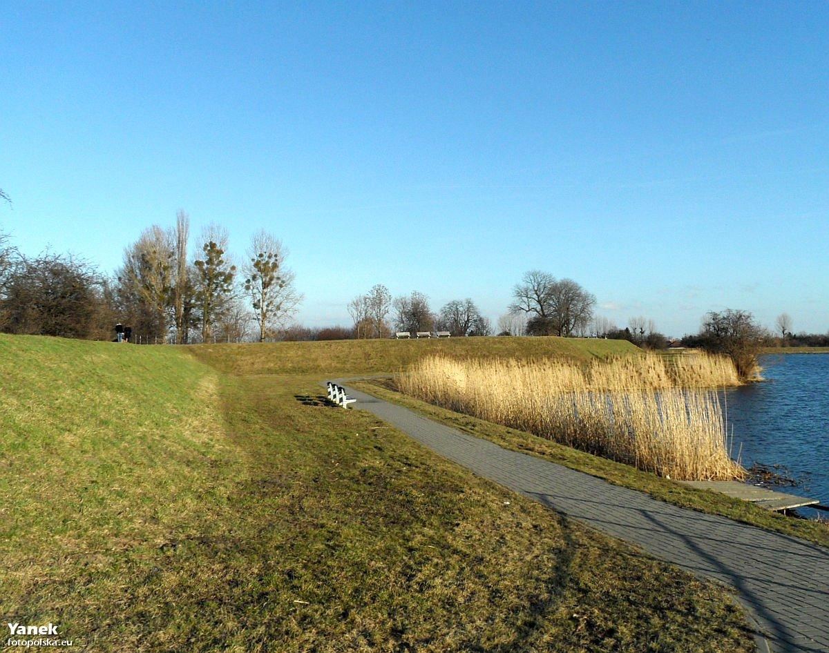 Basion Wilk, Gdańsk