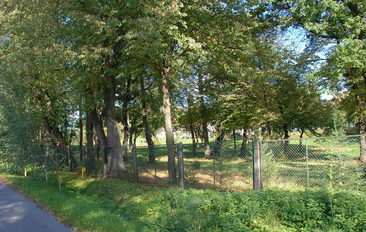 Park dworski, Nieprześnia