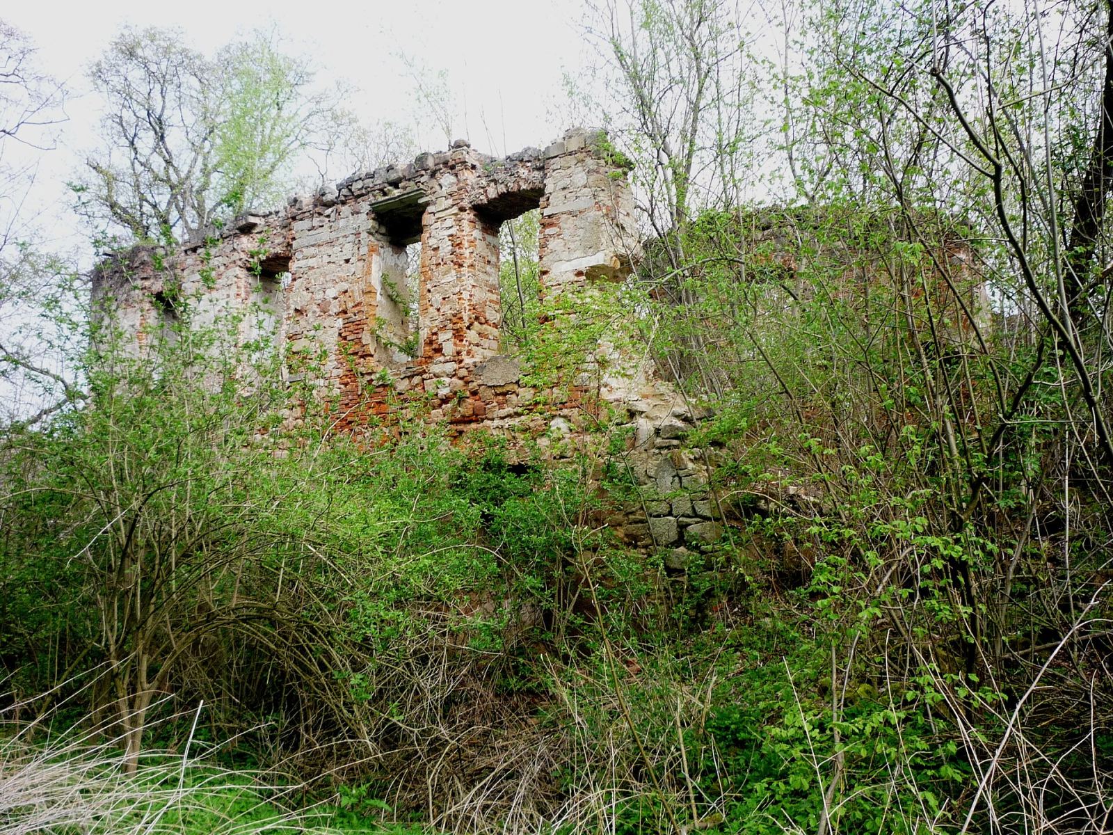 Pałac, Dębowy Gaj