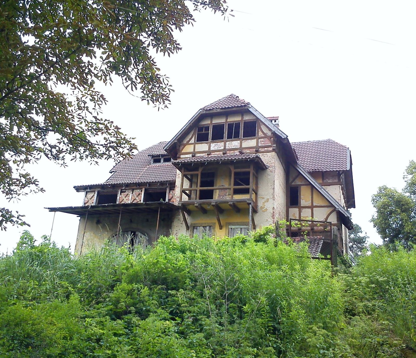 Willa, Koziczyn