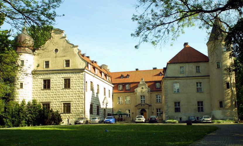 Zamek, Tuczno