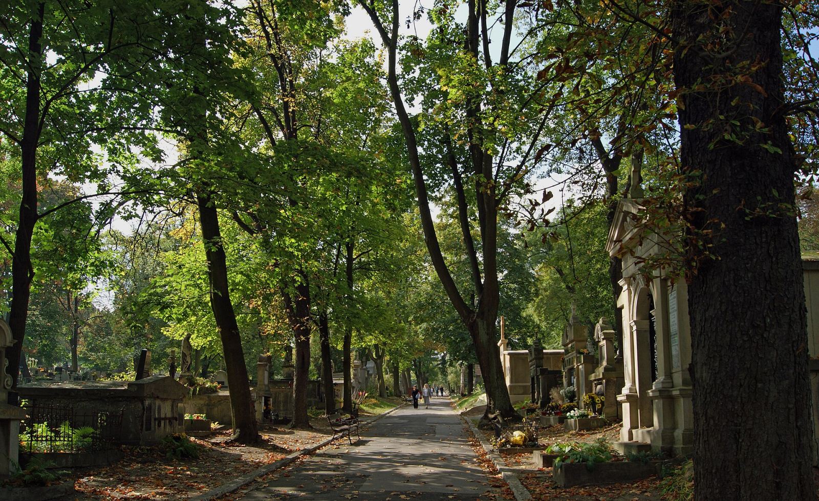 Fragment cmentarza, Kraków