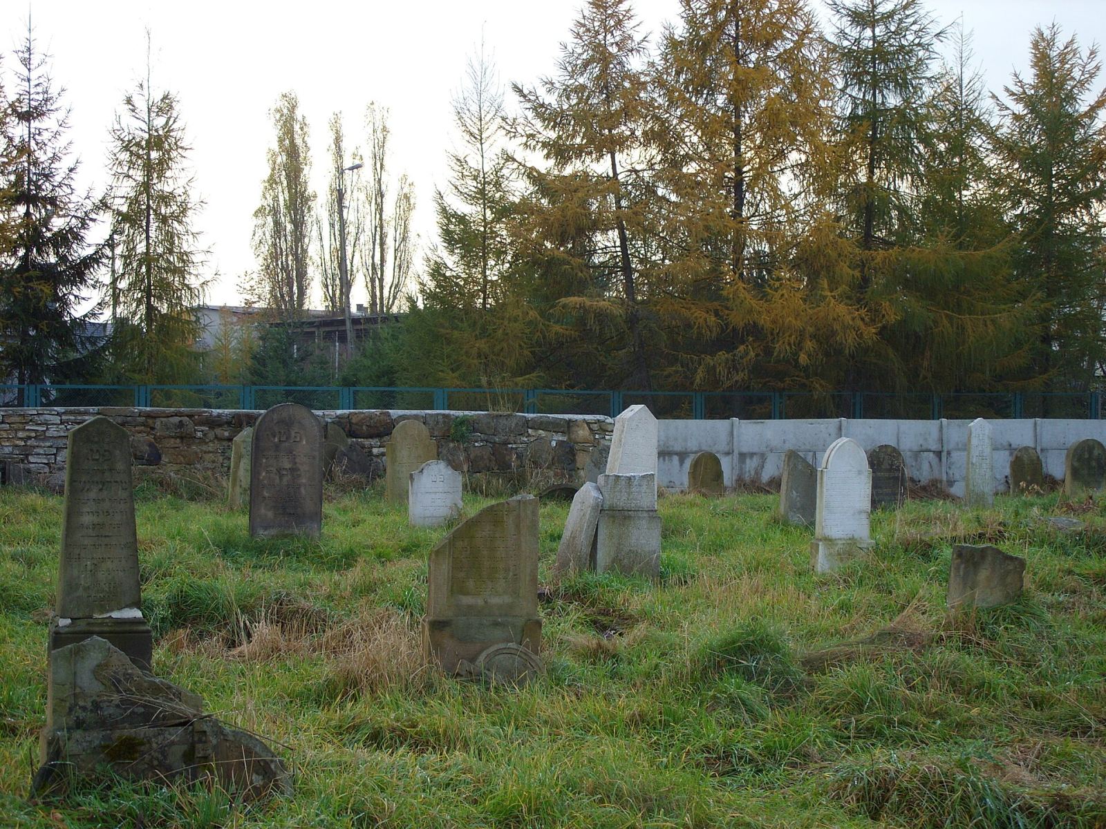 Cmentarz żydowski, Żywiec