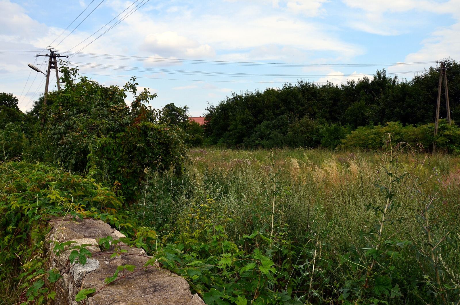 Ogrody gospodarcze, Dobromierz