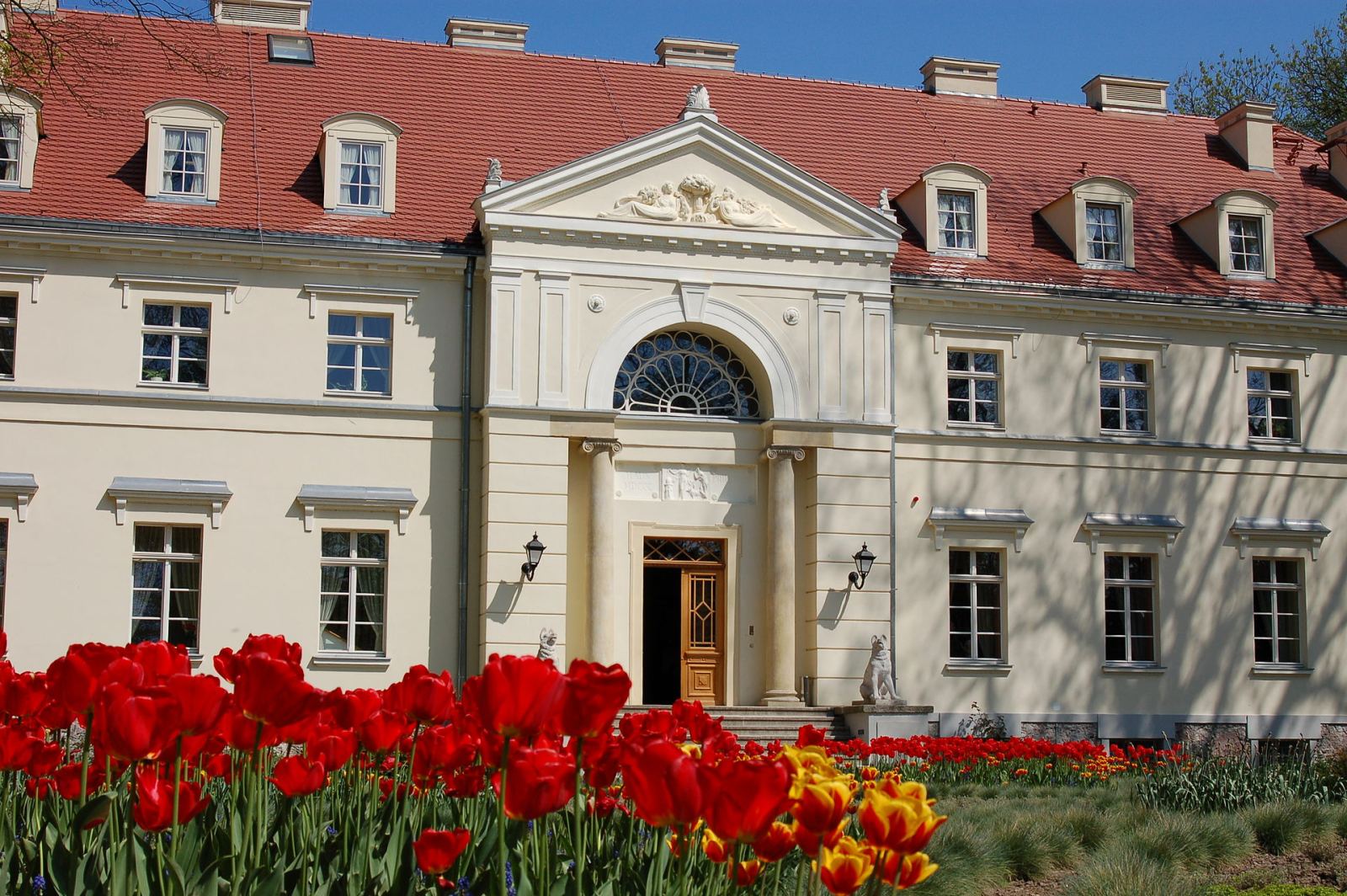 Pałac, Przelewice
