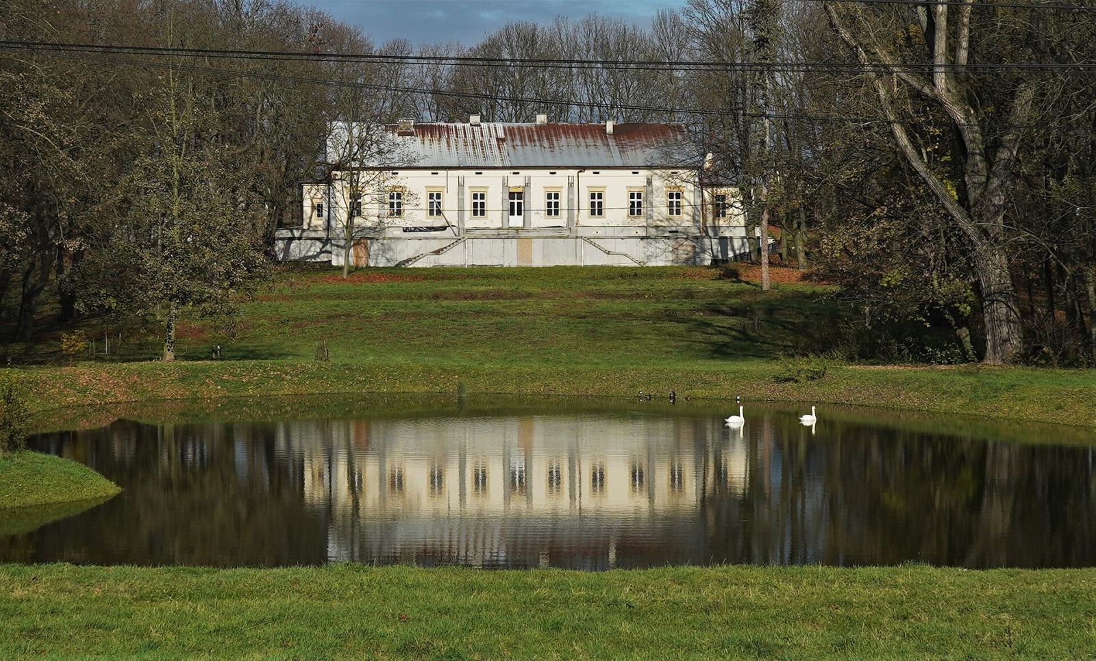 Dwór, Czaple Wielkie