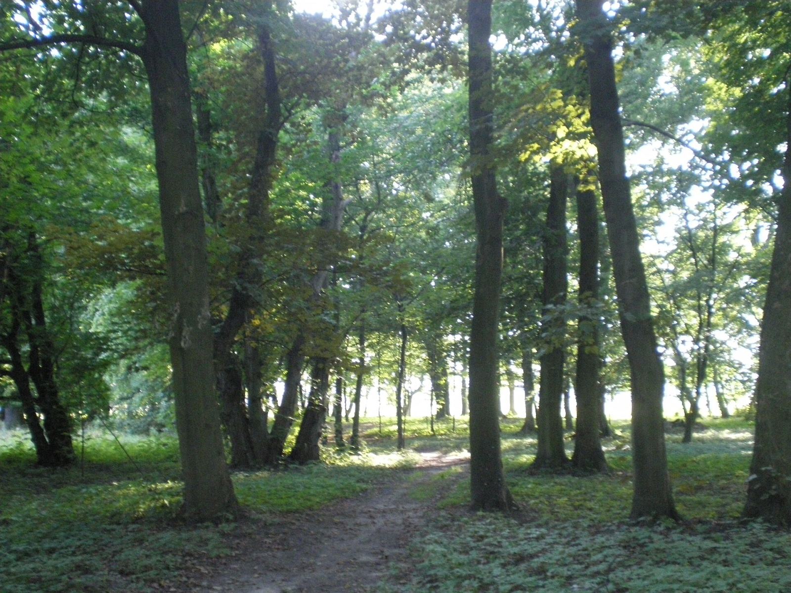 Park, Parcice